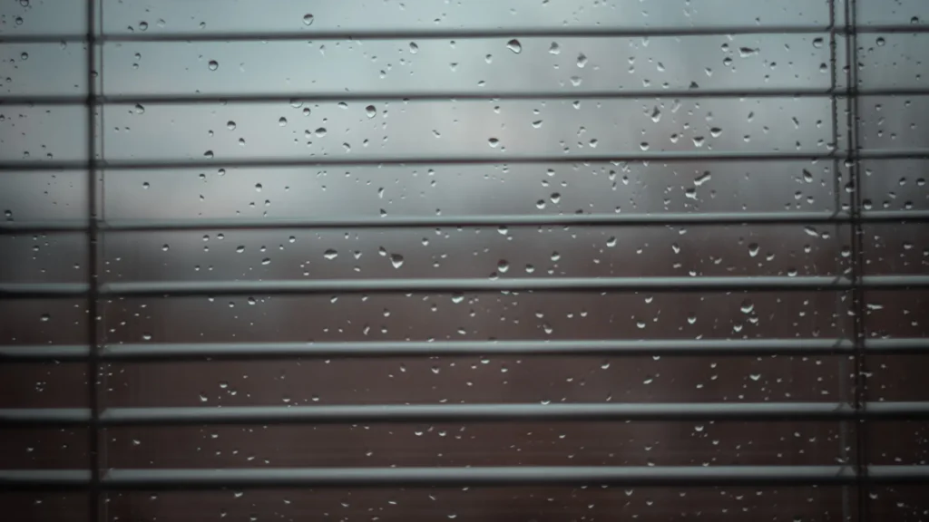 window blinds Dubai