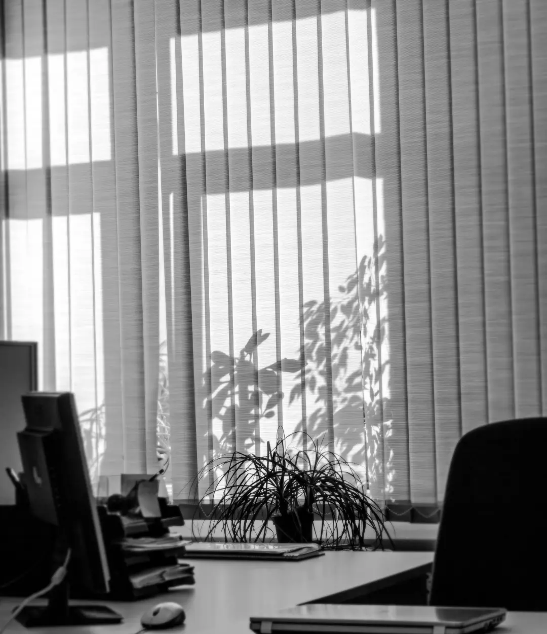 Elegant vertical blinds for corporate offices in Dubai