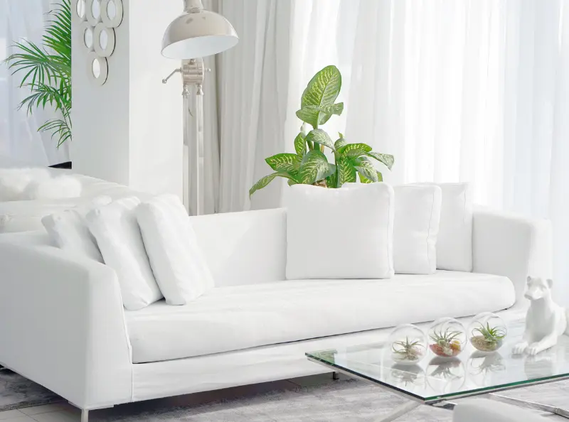 Sofa upholstery services